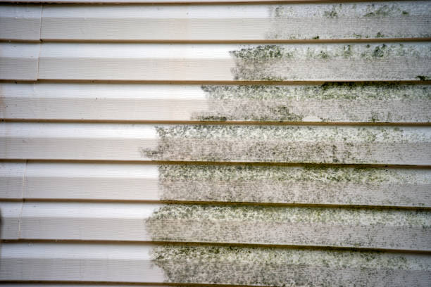 Storm Damage Siding Repair in Kent, WA